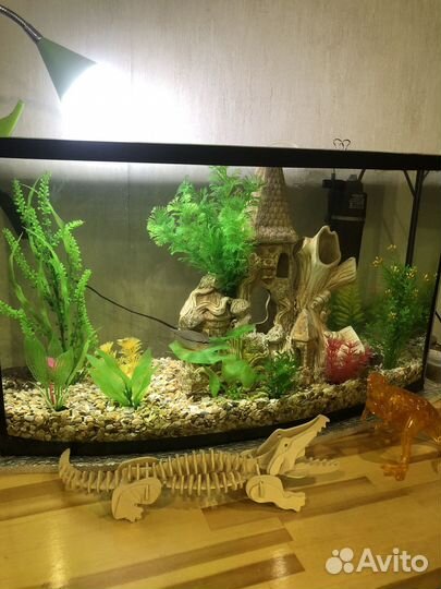 Аквариум