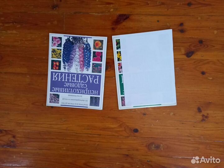 Садоводство цветоводство цветы растения