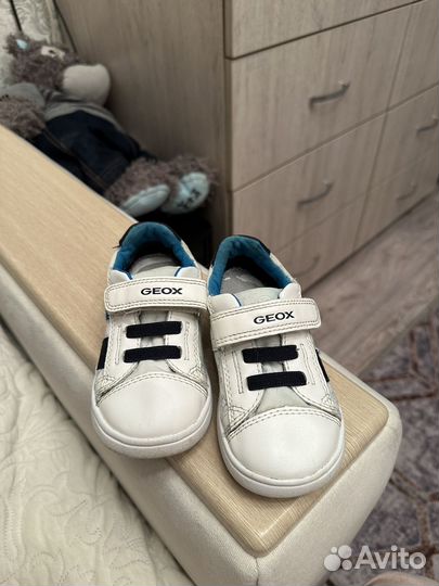 Кеды geox