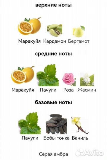 Chic Shaik No 30 Shaik для женщин