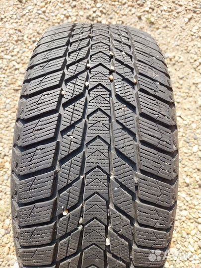 Nexen Winguard Ice Plus 215/55 R16