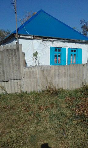 Форека кужорская. Кужорская станица краснодарский край. Кужорская деревня. Форека кужорская. Форека кужорская.