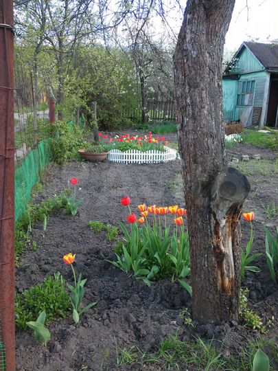 Участок 6,7 сот. (СНТ, ДНП)