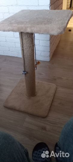 Когтеточка