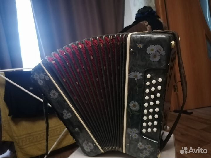 Гармонь шуйская