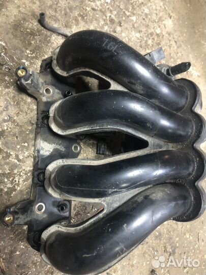 Впускной коллектор Ford Focus 1