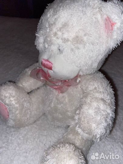 Мишка Тедди