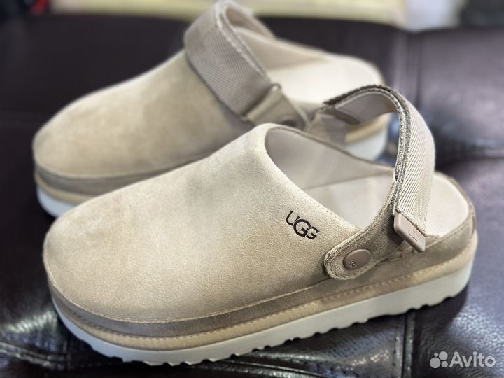 Ugg goldenstar clog cand