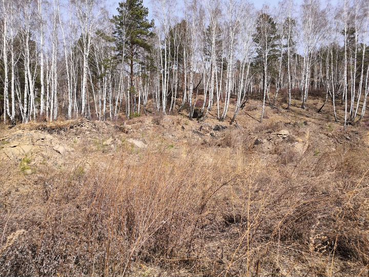 Участок 8 сот. (СНТ, ДНП)
