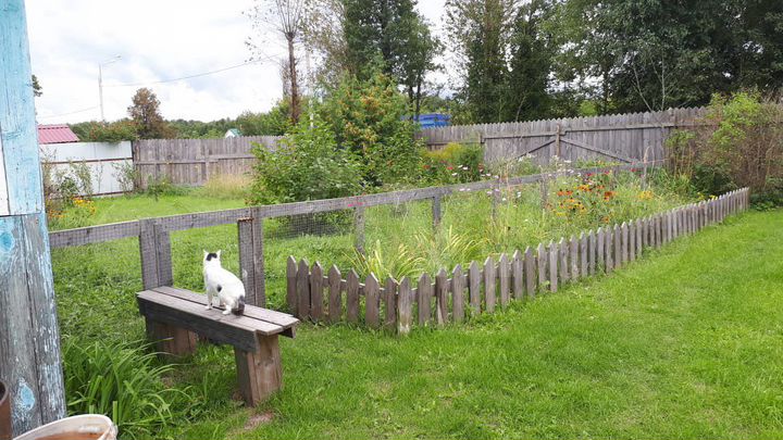 Дом 76 м² на участке 20 сот.