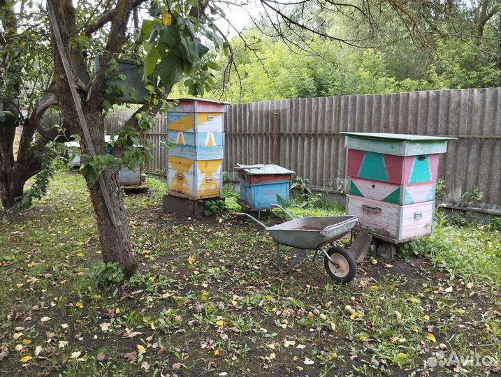 Улей с пчелами