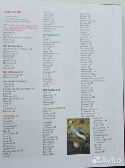 Мир животных