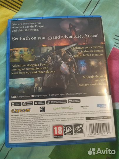 Dragons dogma 2 ps5