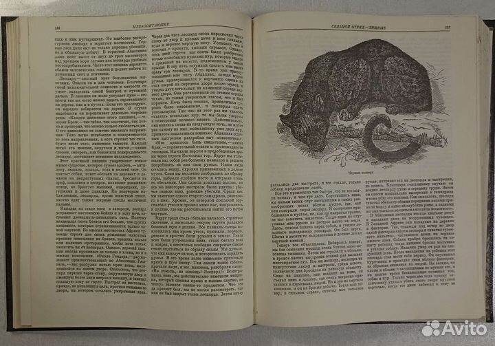 Учебная литература