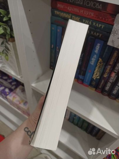 Книга 