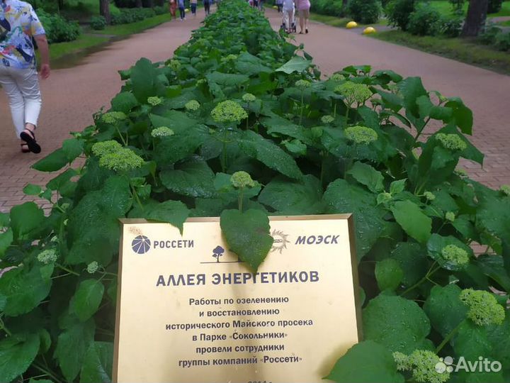 Экскурсия — Москва — Сокольники: прошлое и настоящ