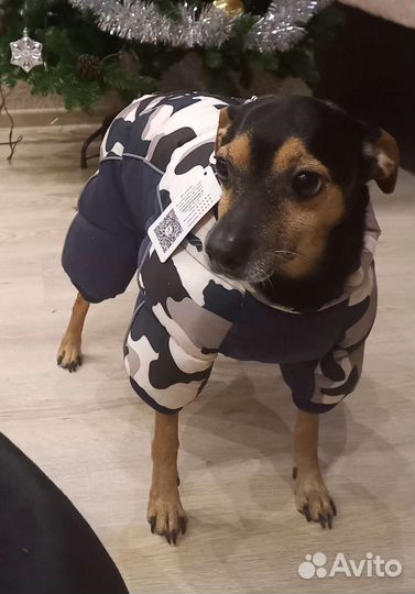 Комбинезон зимний для собак