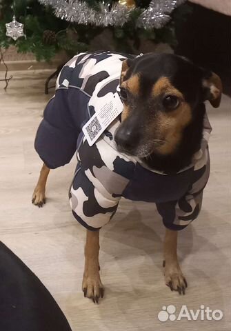 Комбинезон зимний для собак