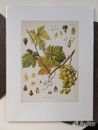 Плакаты постеры