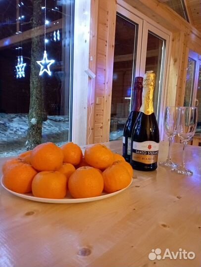 Организация отдыха в Доме на берегу оз Сямозеро