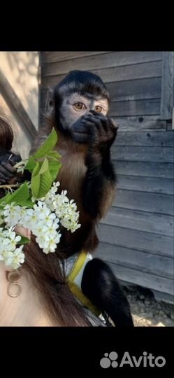 Фотосессия