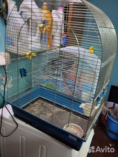 Клетка для попугаев