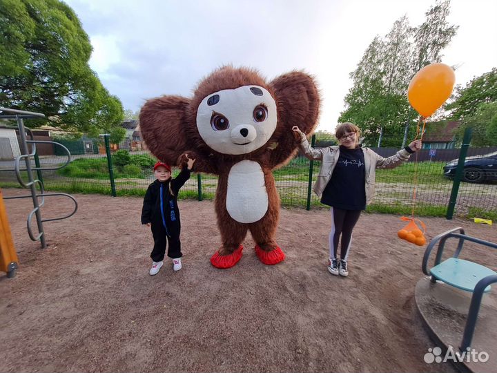 Белый Мишка Поздравление Аниматоры Белый Медведь