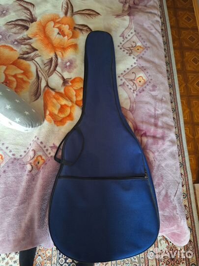 Гитара и чехол