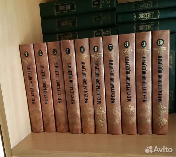 Салтыков-Щедрин Дикенс Лермонтов