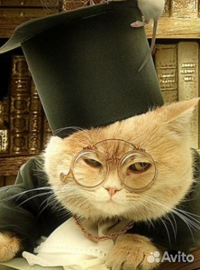 Поздравления, стихи, песни, тосты, речь на заказ