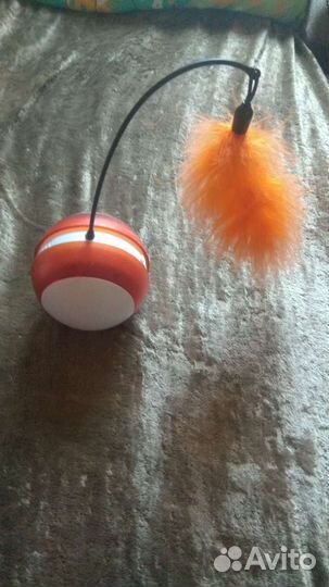 Кошачья игрушка