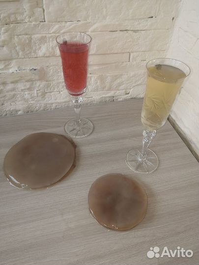 Чайный гриб комбуча