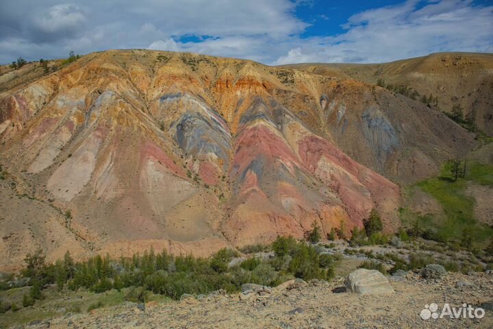 Тур на Алтай