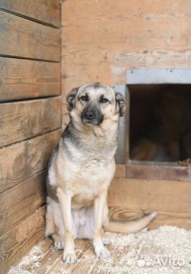 Скромная молодая Октавия ждет хозяйку
