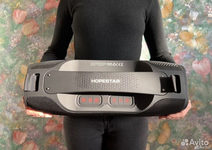 Колонка Ураган Hopestar,JBL в сторонке