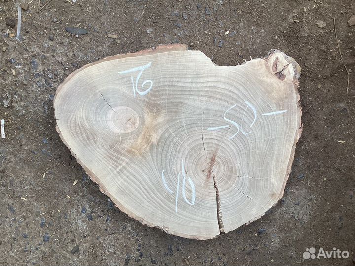 Срезы и спилы дерева