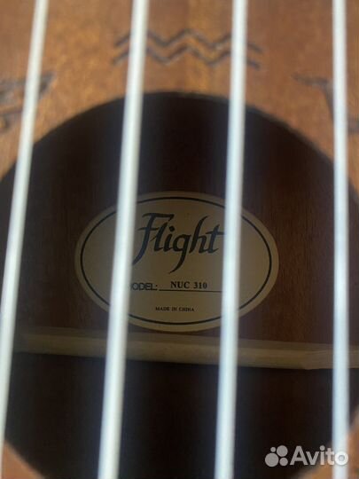 Укулеле flight концерт