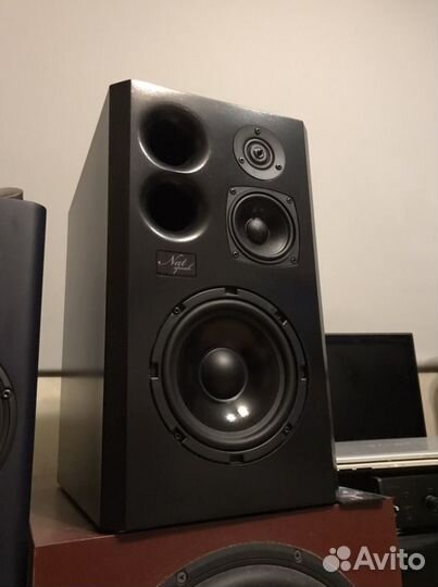 Nat Speak (авторские акустичесие системы)