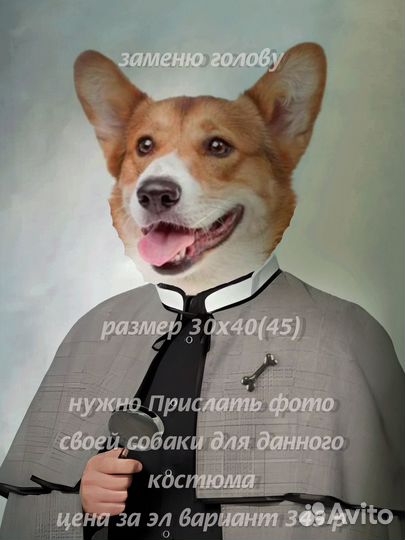 Собаки костюмы