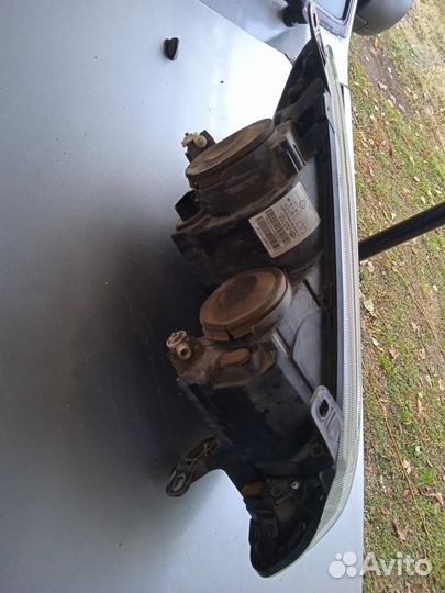 Фара калина