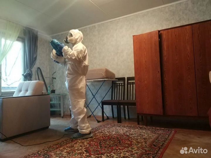 Уничтожение клопов тараканов дезинфекция плесени