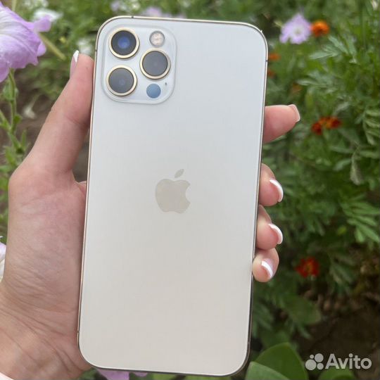 iPhone 12 Pro 256 gb