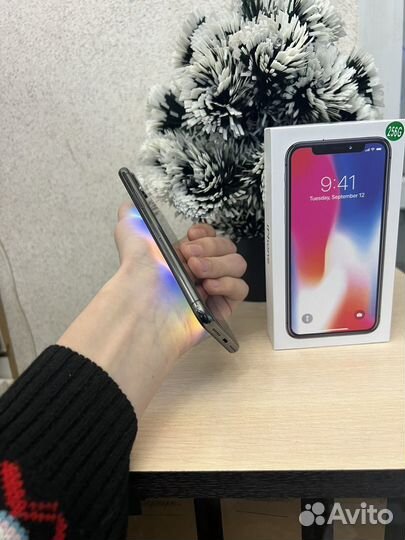 iPhone X, 256 ГБ