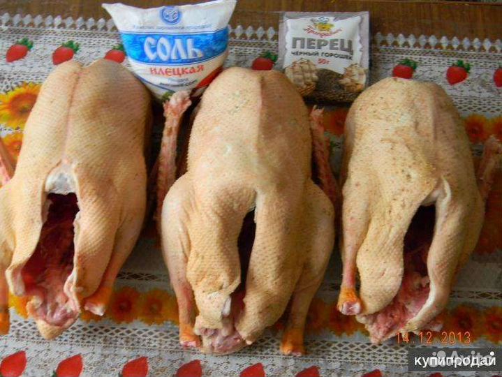 Утки куры гуси
