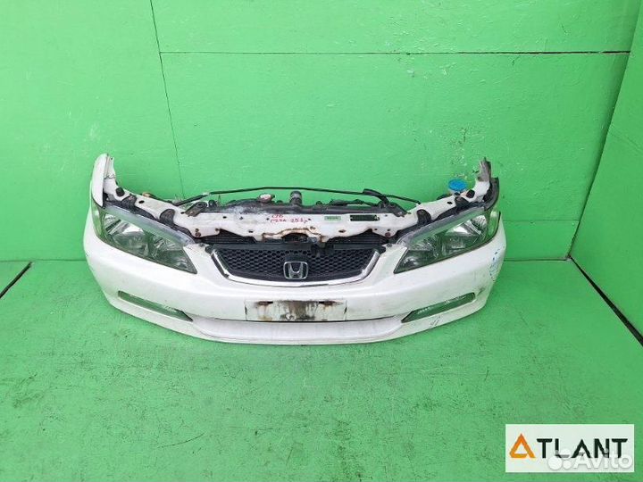 Ноускат honda accord