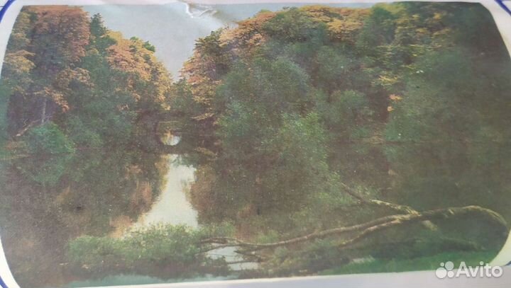 Фотообои Природа 201х277 см