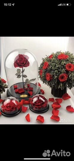 Бизнес по продаже стабилизированных цветов