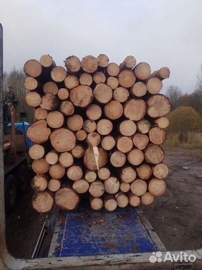 Лес кругляк строевой