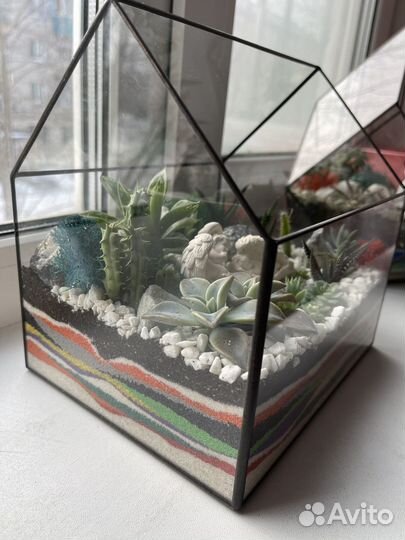 Флорариум подарок