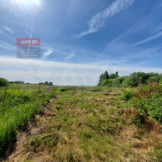 Участок 50 сот. (ИЖС)